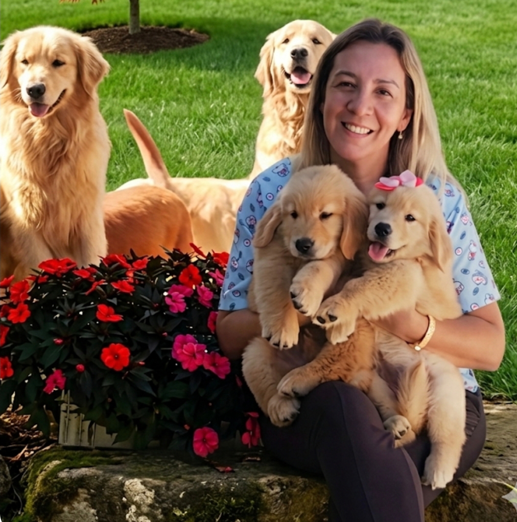 Auxiliar de Veterinária do Canil Golden Puppy