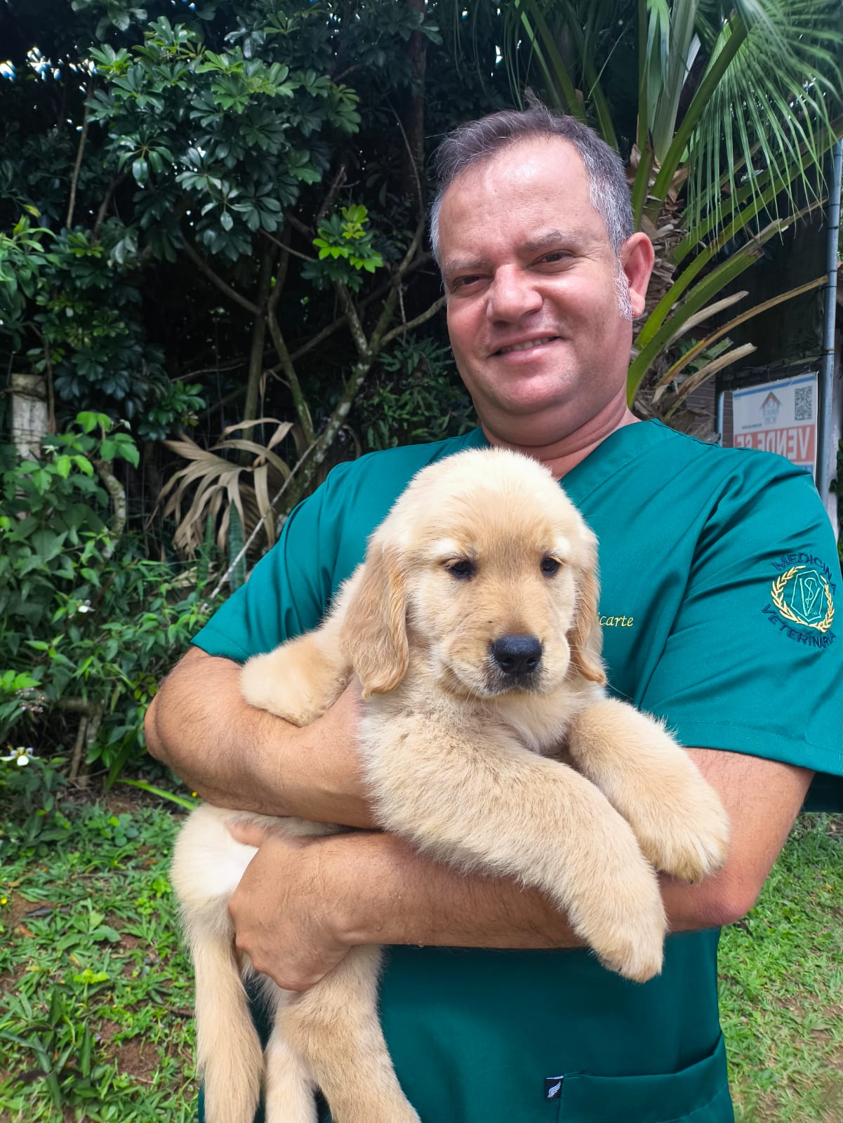 Veterinário do Canil Golden Puppy